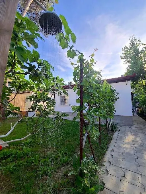 Holiday home Seaside Cottage With Garden Golem